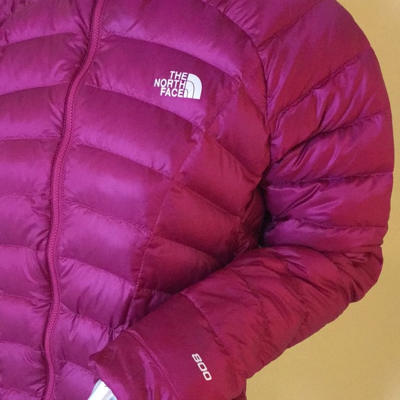 THE NORTH FACE | Women's Quince 800 Down Jacket Dramatic Plum - Picture 8 of 16